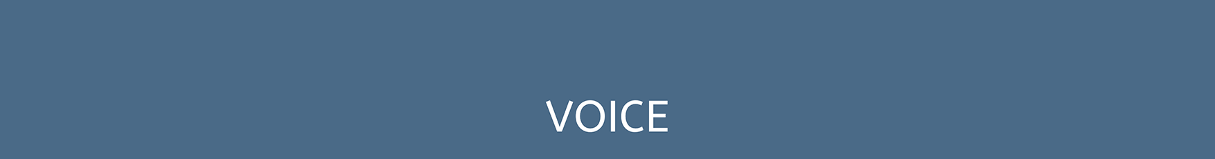 VOICE